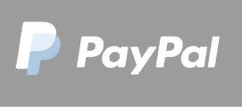 Icon Paypal